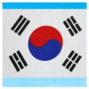 대형 야외 태극기 거리용 국기 80x120cm 장식용