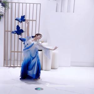 클래식 무용 의상 공연복 천개의 나비 꽃잎 치마 백만마리의 까치 나비 요정 분위기 시험복