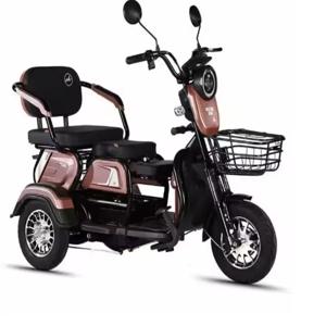 3인용 조절식 전기 삼륜차 800W 전기 삼륜차 가정용 소형 스쿠터 3인용 조절식 전기 삼륜차