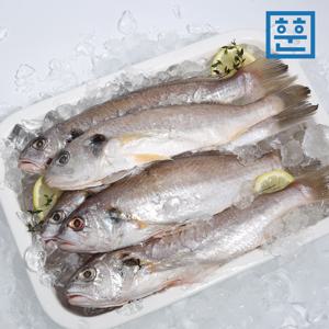 [훈훈수산] 제주 손질 백조기 국내산 생선 조림용 구이용 개별포장