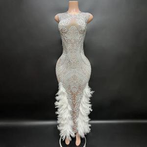 스와로브스키 크리스털이 있는 럭셔리 민소매 깃털 볼 가운 - 무대 및 갈라 이벤트를 위한 우아한 레드 카펫 연예인 연회 드레스