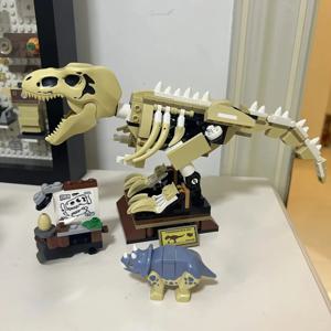 아이디어 공룡 세계 공룡 화석 전시 빌딩 블록 키트; 어린이를 위한 장난감 플레이 세트, 새해와 생일을 위한 훌륭한 선물
