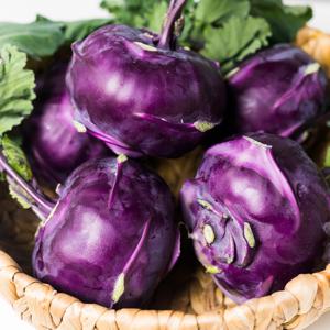 제주 햇 콜라비