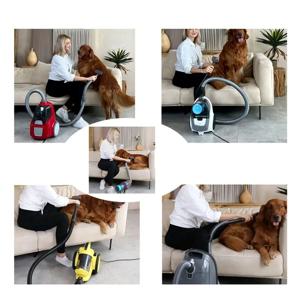 다이슨 애완동물 그루밍 도구에 적합한 강아지 브러시 진공 청소기 다이슨 V6V7V8V9 샤크 미엘레 카처 진공 청소기용