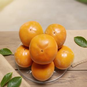 [코인할인] 가성비 달콤아삭 씨없는 단감 진영 부유 10kg