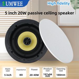 5.25 동축 하이파이 서브우퍼 패시브 풀 레인지 천장 스피커, 지능형 홈 배경 음악 극장 사운드 시스템