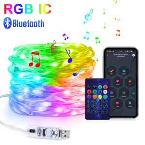 프로그래밍 가능한 USB LED 라이트 네온 스트립, 스마트 블루투스 주소 지정 가능, 10m, 20m, 5V, WS2812, RGBIC 페어리 스트링 라이트, 크리스마스 장식