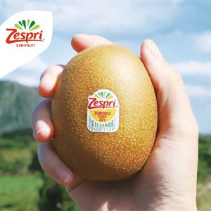 [공식유통사] 제스프리 제주산 썬 골드키위 2kg