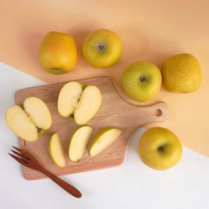 [더조은] 황금사과 시나노골드 가정용 5kg 25-28과