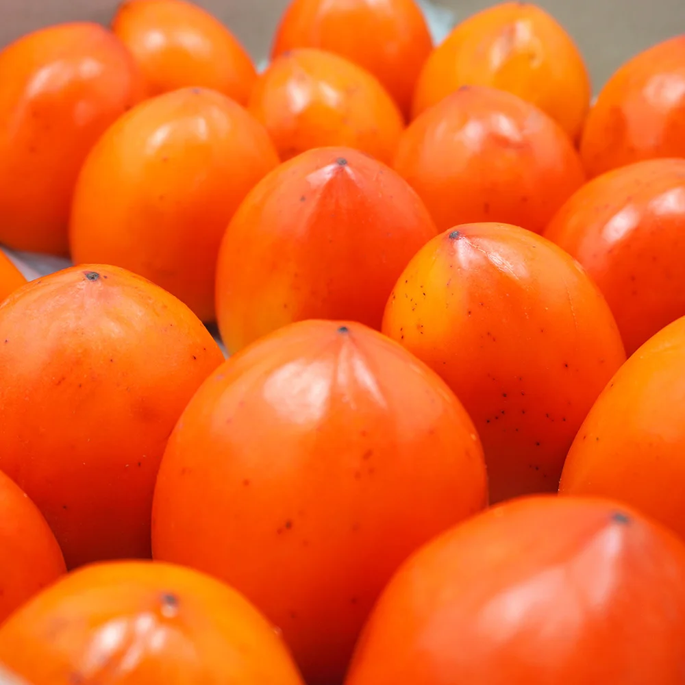 [더조은] 영암 산지직송 대봉감 10kg(26-30과)