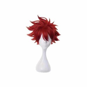 Sk8 Kyan Reki 합성 머리, 애니메이션 역할 놀이, 빨간 짧은 남자 코스프레, 가발 소품