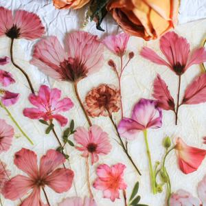 Journamm 50Pcs Scrapbooking을위한 투명 장식 꽃 스티커 저널링 Scrapbooking을위한 PET 꽃 스티커