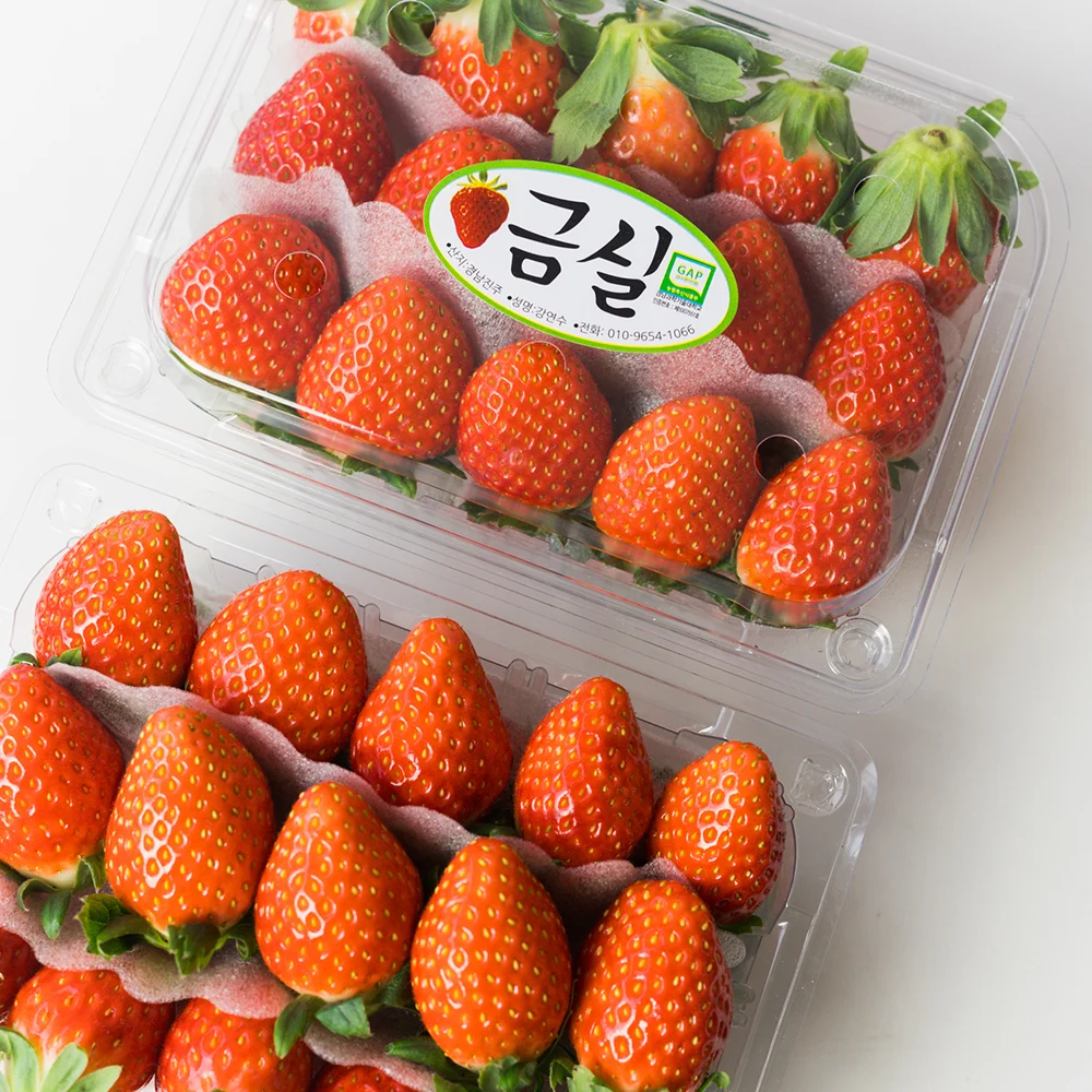 [한정특가 100박스] 프리미엄 금실딸기 상큼달콤 고당도 생딸기