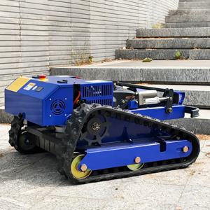 맞춤형 미니 잔디 깎는 기계 원격 제어 잔디 깎는 기계 전 지형 잔디 절단기 농업용 원격 제어 잔디 깎는 기계