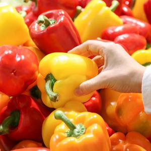 국내산 싱싱한 파프리카 빨강 노랑 혼합 1kg 2kg