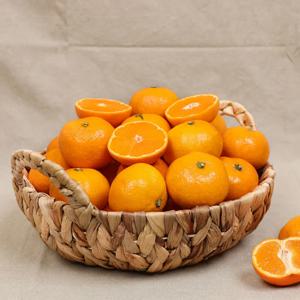 노지 극조생감귤 4.5kg 소과(2S)