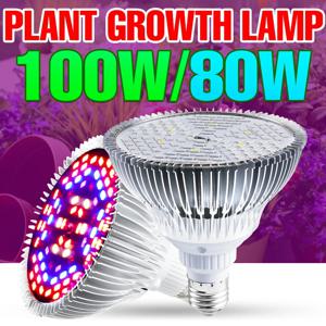 220V LED 전체 스펙트럼 성장 전구 E27 식물에 대 한 Phytolamp LED E14 UV 램프 실내 꽃 씨앗 수경법 성장 조명