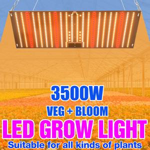3500W Led 식물에 대 한 빛 Phyto 램프 성장 전구 전체 스펙트럼 양자 보드 수경법 온실 꽃 씨앗 성장 램프