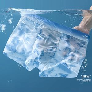 1개 메쉬 아이스 실크 남성용 속옷 통기성 섹시 슬림 팬티 대나무 란제리 플러스 사이즈 L-6XL