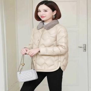 가을 겨울 경량 숏 패딩 코튼 재킷 얇은 두꺼운 페이크 칼라 다운 코튼 코트 따뜻한 심플 포켓 손수건