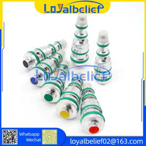 44Psi 42Psi 40Psi 자동 AC 압축기 밸브 제어 밸브 Buick VW 폭스바겐 Opel DAEWOO 푸조 V5 압축기 R12 또는 R134a