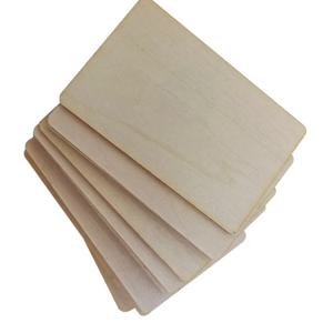 신제품 나무 10 Pcs NFC 213 216 RFID Basswood 빈 디지털 명함 DIY 공예 레이저 조각 신소재