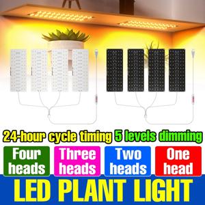 USB DC5V LED 식물 성장등 풀 스펙트럼 퀀텀 보드 재배 램프 1/2/3/4 헤드 디밍 가능 8/12/16시간 타이머 자동 켜짐/꺼짐