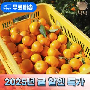 [넉넉] 상큼 달콤 제주 감귤 5kg, 대과 초과, 2L 이상 특대과 5kg, 10kg 대용량 특가