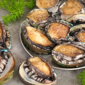 [더조은] 산소포장 완도 활 전복 1kg (6-8미 내외)