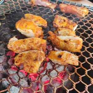 닭갈비맛집/매장직송/하남숯불닭갈비 고추장맛240g2팩/캠핑/바비큐(O)