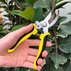 분재 용 정원 가위 전문 가지 치기 나무 과수원 포도 가지 가제트 농업 농장 손 도구 꽃 정리기