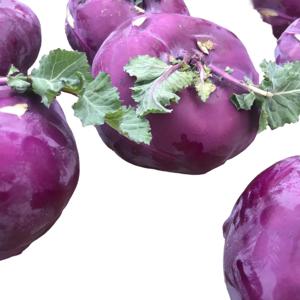 [푸디앤] 제주 스위트 콜라비  5kg