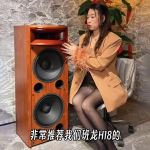 H18 하이엔드 발열 등급 플로어 스탠딩 스피커 솔리드 우드 혼 듀얼 12인치 스피커 Hifi 스피커 패시브 오디오
