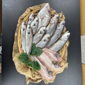 [부직포 선물포장] 바다를 한가득 담은 명절 생선 구이용 선물세트 1호 2호 3호 4호