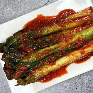 한식대가 최인찬 대파김치 10kg(국내산)