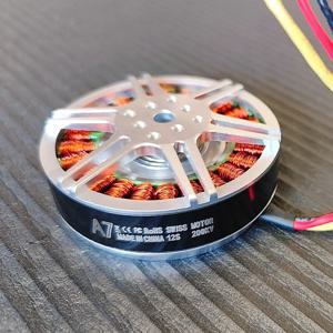 6210Q 스위스 고출력 200KV 브러시리스 아웃러너 모터 식물 보호용 고토크 외부 로터 디자인