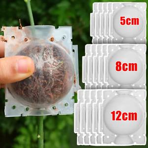 공기층 포드 식물 발근 볼 고압 번식 뿌리 성장 상자 접목 번식 재배 케이스 심기 육묘 화분