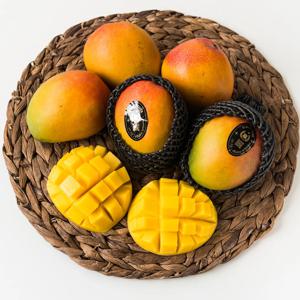 [애플망고] 항공직송 페루산 프리미엄 고당도 애플망고