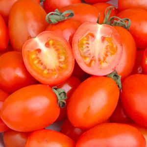 대추방울토마토 750g 부터 전북 김제에서 자란 건강하고 탄탄한 과육의 토마토