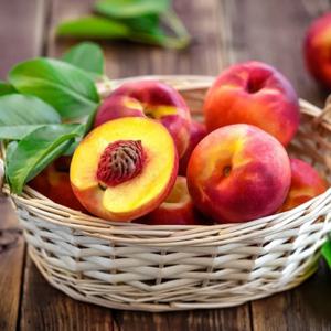 제철 천도 복숭아 1kg 2kg 3kg