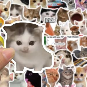 10/30/50pcs 재미 있은 고양이 MEME 낙서 스티커 데칼 DIY 스크랩북 전화 물병 기타 장식 스티커 아이 장난감 선물