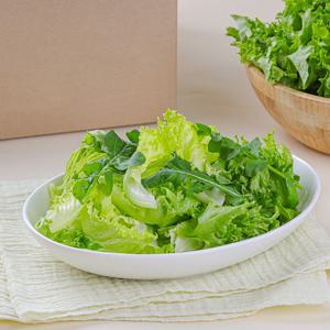 친환경 프레시 유러피안 모둠 루꼴라 샐러드 채소 800g