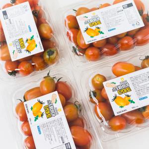 망고향 스테비아 방울토마토 HACCP 인증