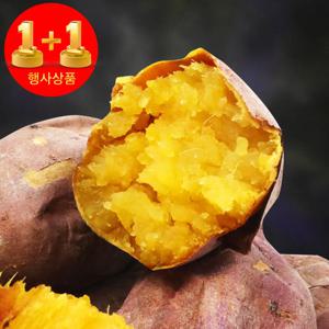 ????1+1 한정특가???? 자연식탁 산지직송 해남 햇 고구마 신품종 호박고구마 호풍미 특상5kg