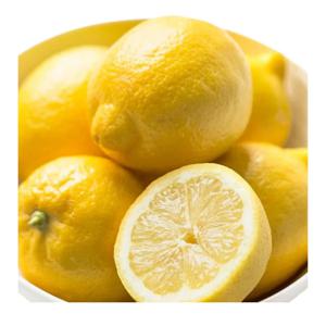 [푸디앤 ] 펜시 레몬 소과(개당 100g) 대과(개당120g) 특과(개당 140g) /미국 호주 칠레산 중 출고 글로벌 표준등급