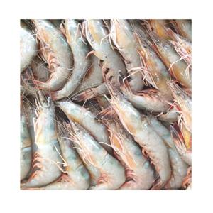 [푸디앤]자연산 급냉 대하 왕새우 1kg