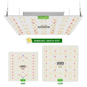 65W 120W LM301H EVO LED 성장 빛 전체 스펙트럼 Sunlike 실내 식물 꽃 온실 성장 램프 660nm 395nm 730nm