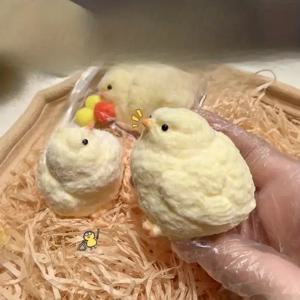 수제 부드러운 실리콘 귀여운 병아리 짜기 장난감 장난감 더러운 손 없이 가방에서 놀기 권장 파티를 위한 슈퍼 부드러운 장난감