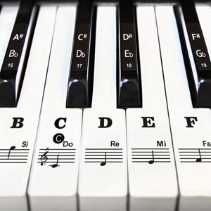 초보자를 위한 대형 대담한 피아노 키 스티커 - 88/61/54/49/37 키용 이동식 문자 라벨, 음표 학습 용이, 검정색