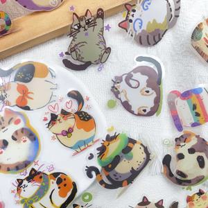 50개 만화 귀여운 고양이 PET 스티커 데칼, 휴대폰, 노트북, 스케이트보드, 기타 DIY, 미적 투명 스티커